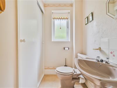 Picture 15